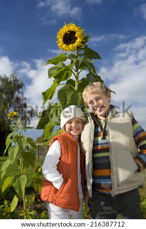 Similar – Sonnenblumen vor einem Haus