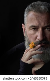 Portrait Of Brutal Gray Haired Man With A Beard With A Sly Expression On His Face And A Yellow Flower In His Mouth Against A Black Background, Selective Focus