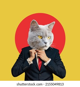 Portrait  Business Man With An Animal Face On A Yellow Red Background. Smart Serious Cat. Collage In Magazine Style. Human Characters Through Animals. Contemporary Collage, Art, Creative Idea