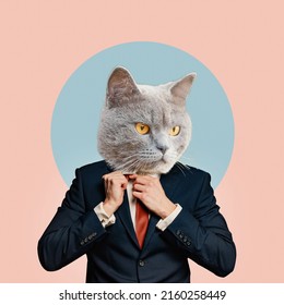 Portrait Of  Business Man With An Animal Face On A Pink Blue Background. Smart Serious Cat. Collage In Magazine Style. Human Characters Through Animals. Contemporary Collage, Art, Creative Idea