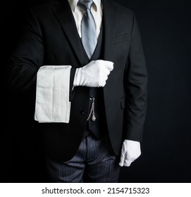 Portrait of Butler or Waiter in Dark Suit Standing at Elegant Attention. Concept of Service Industry and Immaculate Courtesy.