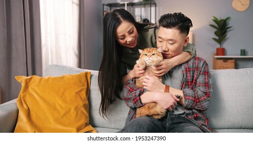 Portrait Of Caring Asian Married Couple Man And Woman Holding Cute Cat While Resting At Home Spending Time Together, Pet Lover, Animal Fluffy Love, Owner Holding Cat In Arms, Family Member