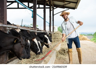 Portrait Of Caucasian Male Dairy Farmer Working Alone Outdoors In Farm. Young Handsome Farmer Feed Herd Of Cows With Hay Grass In Cowshed With Happiness At Livestock Farm Industry And Look At Camera.