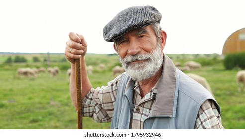 Portrait Of Caucasian Senior Handsome Man Shepherd In Hat Standing Outdoor, Leaning On Stick, Looking At Side And Turning To Camera. Old Male Farmer At His Land. Dolly Shot. Close Up.