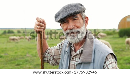 Portrait of Caucasian senior handsome man shepherd in hat standing outdoor, leaning on stick, looking at side and turning to camera. Old male farmer at his land. Dolly shot. Close up.
