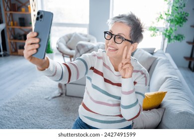 Portrait of charming grandmother sit sofa hold smart phone make selfie demonstrate v-sign pastime apartment indoors