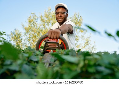 Portrait of cheerful african man in protective glasses and summer hat pruning hedge with hand trimmer. Male gardener in working clothing cutting bushes during sunny days. - Powered by Shutterstock