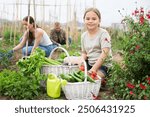 Portrait of cheerful little girl posing with freshly harvested greens and vegetables in homestead, her parents gardening in background