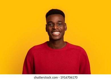 395,591 African American Man Smiling Images, Stock Photos & Vectors 