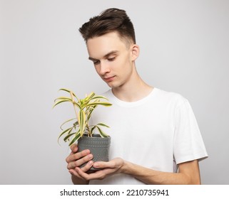 Portrait Of Cheerful Young Man Wearing White T-shirt Holding Potted House Plant. Studio Shot On Gray Background