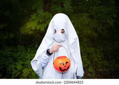 Portrait Of Child In Halloween Ghost Costume Looking Down At Basket Of Pumpkin In Dark Forest Among Green Trees.