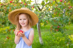 Portrait Of Children In An Apple Orchard. Little Girl In A Straw Hat And Blue Striped Dress, Holding Apples In Her Hands. Carefree Childhood, Happy Child