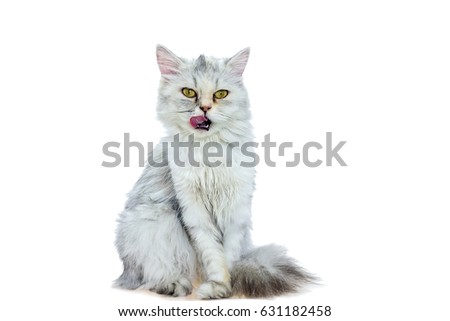 Not lick in norwegian Lick in norwegian you tell