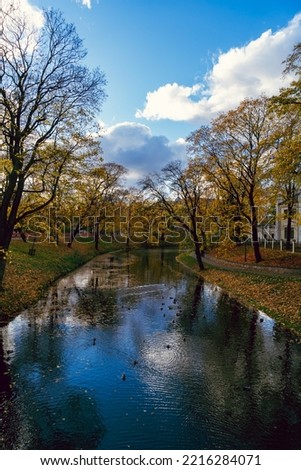 Portrait of the city canal with ducks during autumn. A colorful view of the canal