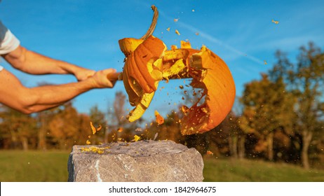 PORTRAIT CLOSE UP: Big carved pumpkin with a shocked face getting smashed with baseball bat on Halloween. Unrecognizable man hitting and destroying scared Jack O'Lantern with a wooden bat on Halloween