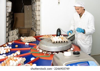Portrait of concentrated highly experienced european adult man sorting eggs in chicken farm - Shutterstock ID 2246903749