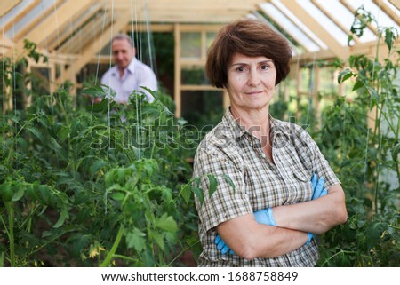 Portrait of confident farmers engaged in cultivation of organic tomato in greenhouse