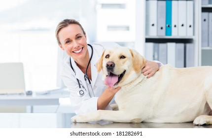 Portrait of confident female veterinarian examining dog in hospital - Shutterstock ID 181282691