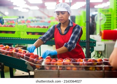 Portrait Of Confident Latina Woman Working At Sorting Department At Fruits Industrial Production Facility