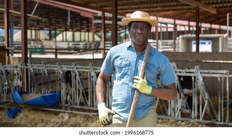 Portrait Of Confident Young Adult Man Farmer Posing On Dairy Farm