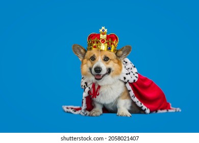 Portrait Of A Corgi Dog In A Royal Robe And Tiara On A Blue Background