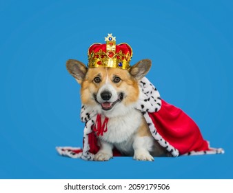 Portrait Of A Corgi Dog In A Royal Robe And Tiara On A Blue Background