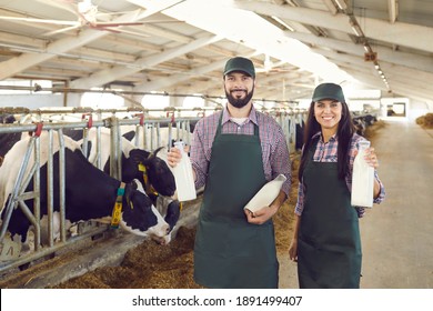 Portrait of a couple of young farmers holding glass bottles of fresh delicious organic milk on the farm. Woman and man who are dairy business demonstrating a product collected in their cowshed.