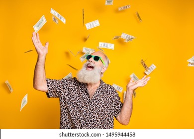 Portrait of crazy funky funny oold bearded man hipster in green eyeglasses eyewear look up at money falling scream great win lottery wear leopard stylish shirt isolated over yellow background