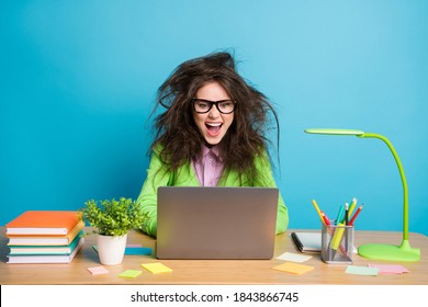 Portrait Of Crazy Messy Hair Girl Student Sit Desk Work Remote Laptop Wear Green Shirt Isolated Over Blue Color Background