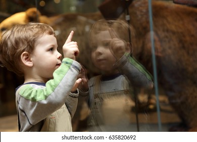 Portrait Of Curiosity Child In A Museum