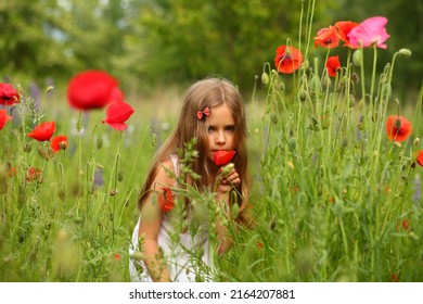 Portrait Of A Cute 6 Year Old Girl Wearing A White Summer Cotton Dress, Posing In The Poppy Field