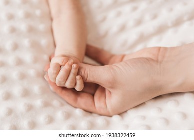 Portrait Of Cute Bab, Hand Of Mom And Baby