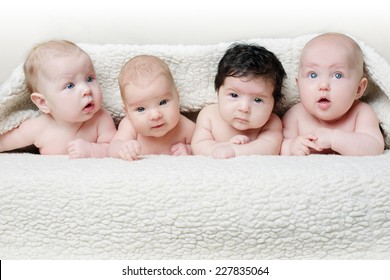 Portrait Of Cute Babies On Light Background