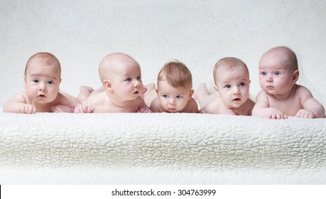 Portrait Of Cute Babies On Light Background