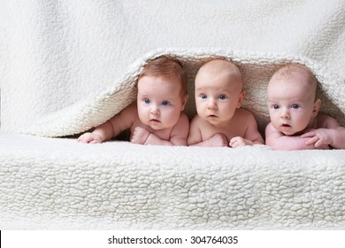 portrait of cute babies on light background