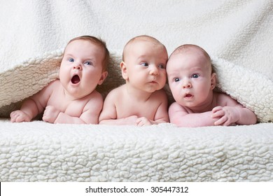 Portrait Of Cute Babies On Light Background