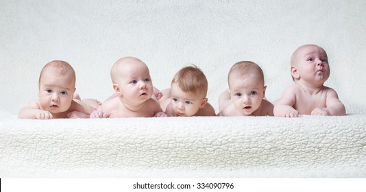 Portrait Of Cute Babies On Light Background