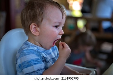 Portrait Of Cute Boy Eating Meat With His Fingers