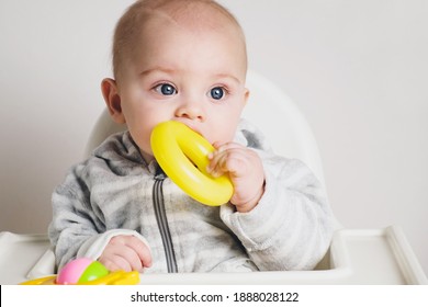 Portrait of cute caucasian little baby boy sits on a high chair and bites a plastic toy. Teething concept.