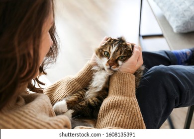 Portrait Of Cute Domestic Cat With Green Eyes Lying With Owner At Home. Unrecognizable Young Woman Petting Purebred Straight-eared Long Hair Kitty On Her Lap. Background, Copy Space, Close Up.