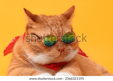 Portrait of cute ginger cat in stylish sunglasses and bandana on yellow background, closeup