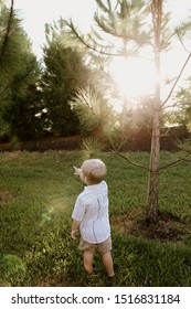 Portrait Of Cute Handsome Blond Little Kid Boy In Colorful Striped Button Down Shirt Walking Outside In The Grass Watching The Sunrise