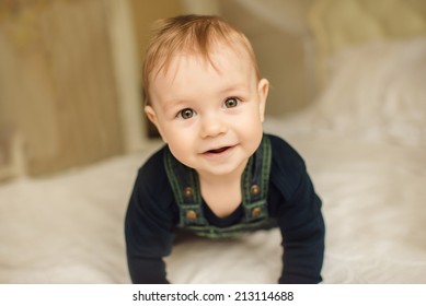 Portrait Cute Happy 8 Month Old Stock Photo (Edit Now) 213114688