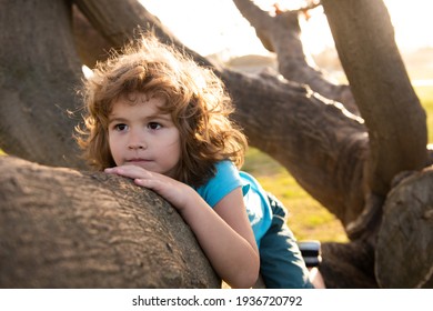 45,439 Climb up a tree Images, Stock Photos & Vectors | Shutterstock