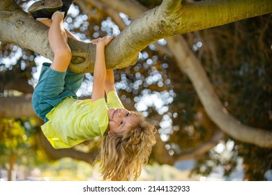 Portrait Cute Kid Boy Sitting On Stock Photo 2144132933 | Shutterstock