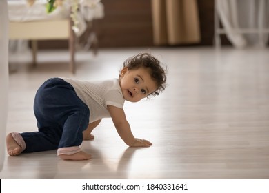 Portrait Of Cute Little African American Baby Toddler Crawl Make First Steps On Home Wooden Floor. Small Biracial Newborn Infant Child Learn Walking Play Indoors. Childcare, Upbringing Concept.