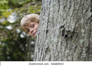 Portrait of a cute little boy peeking from behind tree