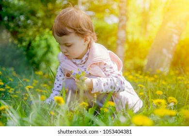 Portrait of cute little child girl with wildflowers. (Recreation, summer, nature, vacation concept)