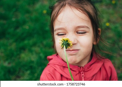 Portrait Of Cute Little Toddler Girl Smelling A Dandelion Yellow Flower Over Natural Green Background Outdoor. Real Genuine Life Moments.  Carefree Happy Childhood.