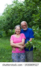 Portrait of cute older men and women in summer apple garden.